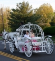 Dream Horse Carriage Company